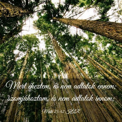 Picture 03 - Máté 25:42 KAR - Mert éheztem, és nem adtatok ennem; - Bible Verse Picture