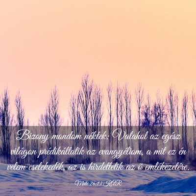 Picture 03 - Máté 26:13 KAR - Bizony mondom néktek: Valahol az egész világon - Bible Verse Picture