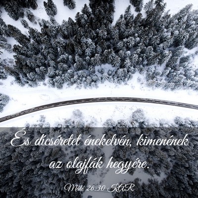Picture 03 - Máté 26:30 KAR - És dícséretet énekelvén, kimenének az - Bible Verse Picture