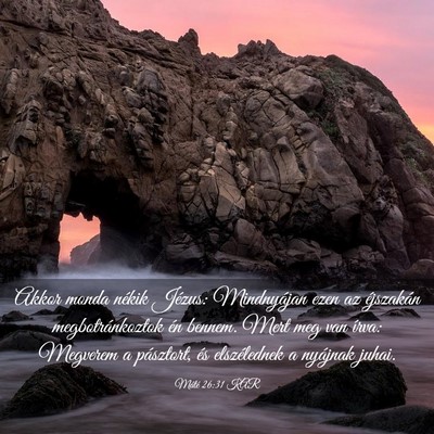 Picture 03 - Máté 26:31 KAR - Akkor monda nékik Jézus: Mindnyájan ezen az - Bible Verse Picture