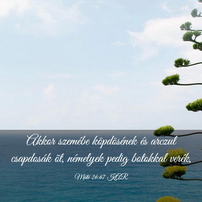 Picture 03 - Máté 26:67 KAR - Akkor szemébe köpdösének és arczul - Bible Verse Picture