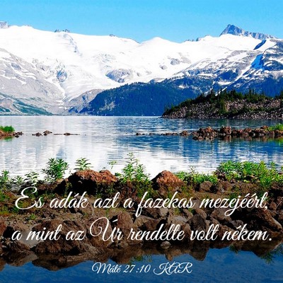 Picture 03 - Máté 27:10 KAR - És adák azt a fazekas mezejéért, a mint az - Bible Verse Picture