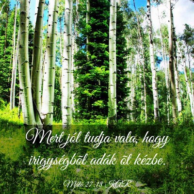 Picture 03 - Máté 27:18 KAR - Mert jól tudja vala, hogy irigységbõl adák - Bible Verse Picture