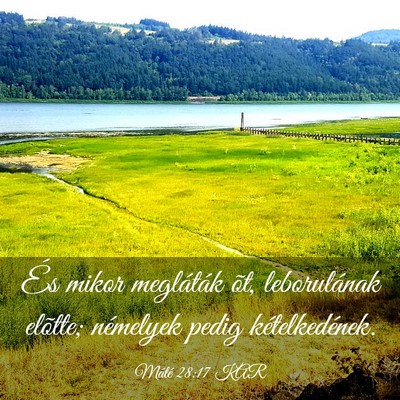 Picture 03 - Máté 28:17 KAR - És mikor megláták õt, leborulának elõtte; - Bible Verse Picture