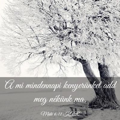 Picture 03 - Máté 6:11 KAR - A mi mindennapi kenyerünket add meg nékünk - Bible Verse Picture