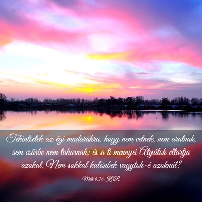 Picture 03 - Máté 6:26 KAR - Tekintsetek az égi madarakra, hogy nem vetnek, - Bible Verse Picture