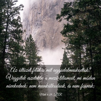 Picture 03 - Máté 6:28 KAR - Az öltözet felõl is mit aggodalmaskodtok? - Bible Verse Picture
