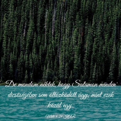 Picture 03 - Máté 6:29 KAR - De mondom néktek, hogy Salamon minden - Bible Verse Picture