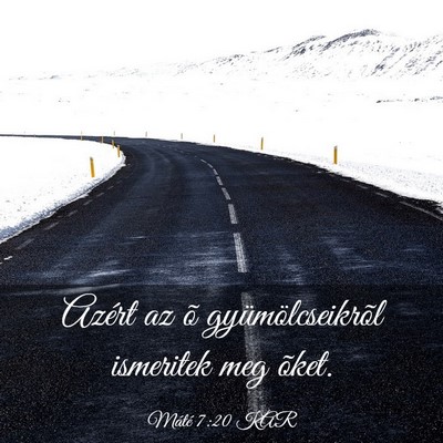 Picture 03 - Máté 7:20 KAR - Azért az õ gyümölcseikrõl ismeritek meg - Bible Verse Picture