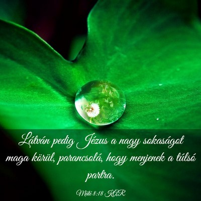 Picture 03 - Máté 8:18 KAR - Látván pedig Jézus a nagy sokaságot maga - Bible Verse Picture