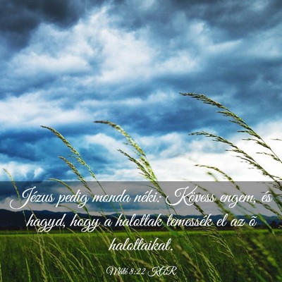 Picture 03 - Máté 8:22 KAR - Jézus pedig monda néki: Kövess engem, és - Bible Verse Picture