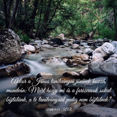 Picture 03 - Máté 9:14 KAR - Akkor a János tanítványai jövének hozzá, - Bible Verse Picture