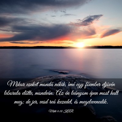 Picture 03 - Máté 9:18 KAR - Mikor ezeket mondá nékik, ímé egy fõember - Bible Verse Picture