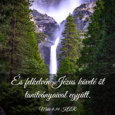 Picture 03 - Máté 9:19 KAR - És felkelvén Jézus követé õt - Bible Verse Picture