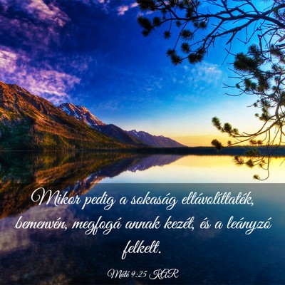 Picture 03 - Máté 9:25 KAR - Mikor pedig a sokaság eltávolíttaték, - Bible Verse Picture