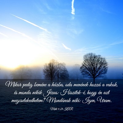 Picture 03 - Máté 9:28 KAR - Mikor pedig beméne a házba, oda menének hozzá - Bible Verse Picture