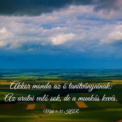 Picture 03 - Máté 9:37 KAR - Akkor monda az õ tanítványainak: Az aratni - Bible Verse Picture