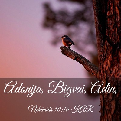 Picture 03 - Nehémiás 10:16 KAR - Adonija, Bigvai, - Bible Verse Picture