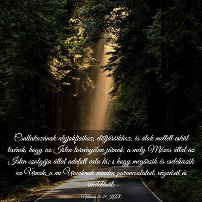 Picture 03 - Nehémiás 10:29 KAR - Csatlakozának atyjokfiaihoz, elõljáróikhoz, - Bible Verse Picture