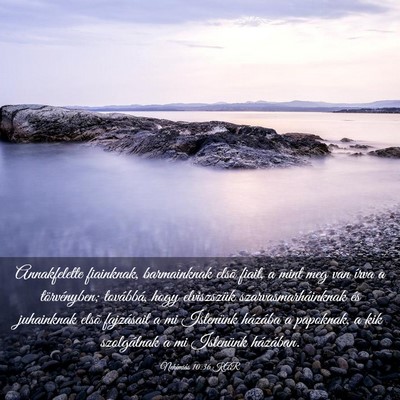 Picture 03 - Nehémiás 10:36 KAR - Annakfelette fiainknak, barmainknak elsõ fiait, - Bible Verse Picture