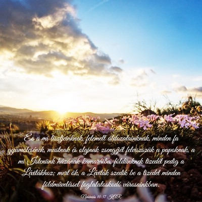 Picture 03 - Nehémiás 10:37 KAR - És a mi lisztjeinknek, felemelt áldozatainknak, - Bible Verse Picture
