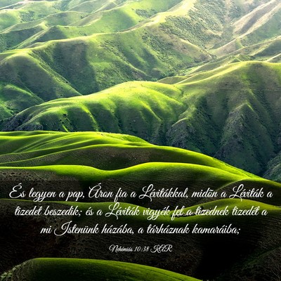 Picture 03 - Nehémiás 10:38 KAR - És legyen a pap, Áron fia a Lévitákkal, - Bible Verse Picture