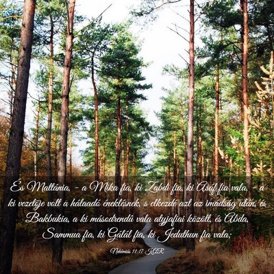 Picture 03 - Nehémiás 11:17 KAR - És Mattánia, - a Mika fia, ki Zabdi fia, ki - Bible Verse Picture