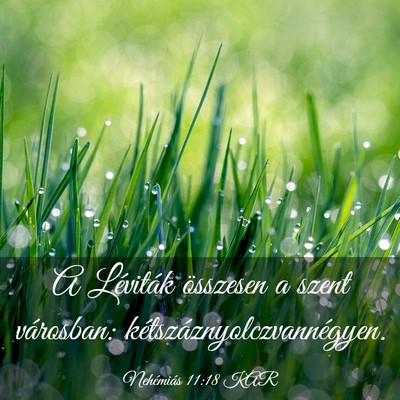 Picture 03 - Nehémiás 11:18 KAR - A Léviták összesen a szent városban: - Bible Verse Picture