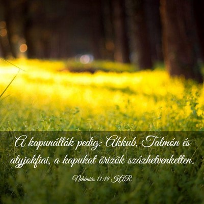 Picture 03 - Nehémiás 11:19 KAR - A kapunállók pedig: Akkub, Talmón és - Bible Verse Picture
