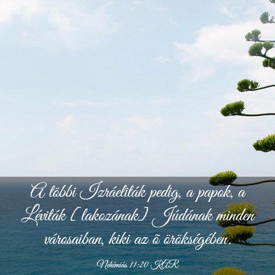 Picture 03 - Nehémiás 11:20 KAR - A többi Izráeliták pedig, a papok, a Léviták - Bible Verse Picture