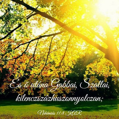 Picture 03 - Nehémiás 11:8 KAR - És õ utána Gabbai, Szallai, - Bible Verse Picture