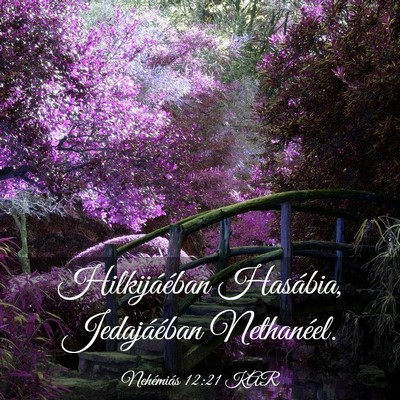 Picture 03 - Nehémiás 12:21 KAR - Hilkijáéban Hasábia, Jedajáéban - Bible Verse Picture