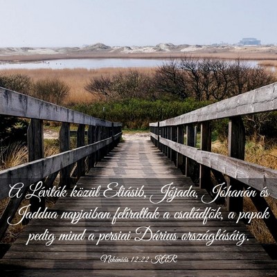 Picture 03 - Nehémiás 12:22 KAR - A Léviták közül Eliásib, Jójada, Jóhanán - Bible Verse Picture