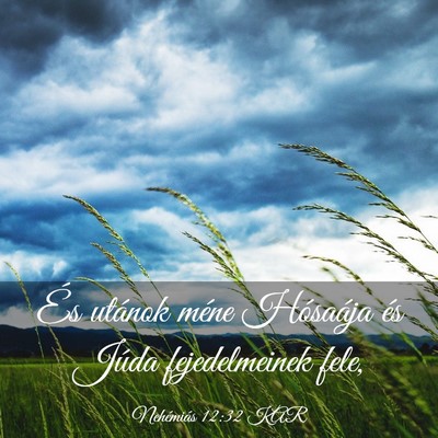 Picture 03 - Nehémiás 12:32 KAR - És utánok méne Hósaája és Júda - Bible Verse Picture