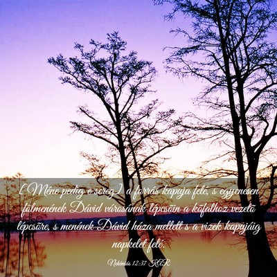 Picture 03 - Nehémiás 12:37 KAR - [Méne pedig e sereg] a forrás kapuja felé, s - Bible Verse Picture