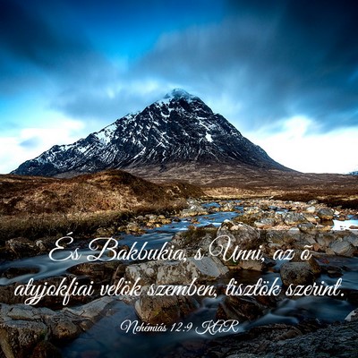 Picture 03 - Nehémiás 12:9 KAR - És Bakbukia, s Unni, az õ atyjokfiai velök - Bible Verse Picture