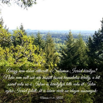Picture 03 - Nehémiás 13:26 KAR - Avagy nem ebben vétkezett-é Salamon Izráel - Bible Verse Picture