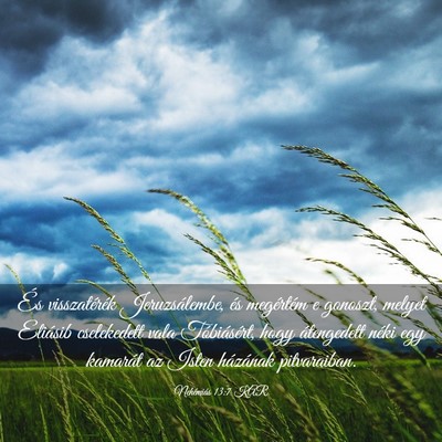 Picture 03 - Nehémiás 13:7 KAR - És visszatérék Jeruzsálembe, és megértém e - Bible Verse Picture