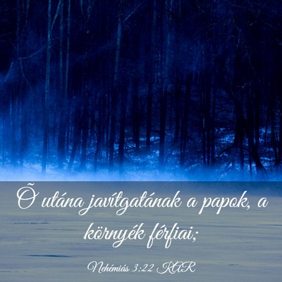 Picture 03 - Nehémiás 3:22 KAR - Õ utána javítgatának a papok, a környék - Bible Verse Picture