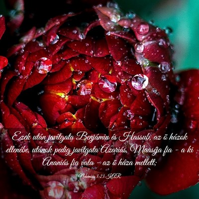 Picture 03 - Nehémiás 3:23 KAR - Ezek után javítgata Benjámin és Hassub, az õ - Bible Verse Picture