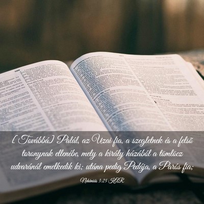 Picture 03 - Nehémiás 3:25 KAR - [Továbbá] Palál, az Uzai fia, a szegletnek és - Bible Verse Picture