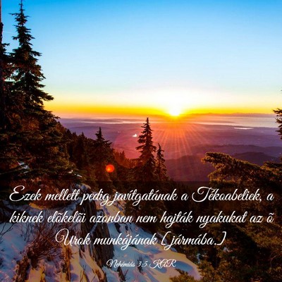 Picture 03 - Nehémiás 3:5 KAR - Ezek mellett pedig javítgatának a Tékoabeliek, - Bible Verse Picture