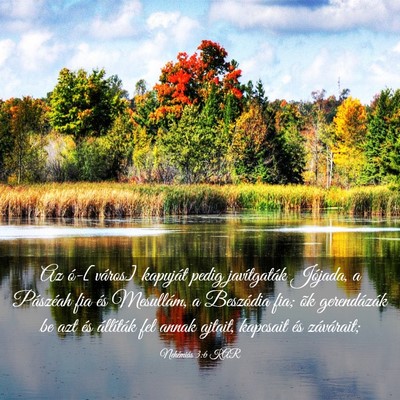 Picture 03 - Nehémiás 3:6 KAR - Az ó-[város] kapuját pedig javítgaták - Bible Verse Picture
