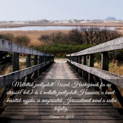 Picture 03 - Nehémiás 3:8 KAR - Mellettök javítgatott Uzziel, Harhajának fia - Bible Verse Picture