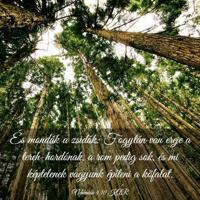 Picture 03 - Nehémiás 4:10 KAR - És mondák a zsidók: Fogytán van ereje a - Bible Verse Picture