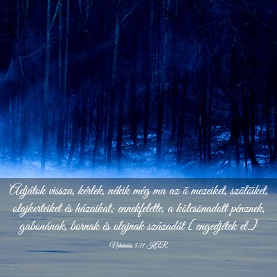 Picture 03 - Nehémiás 5:11 KAR - Adjátok vissza, kérlek, nékik még ma az õ - Bible Verse Picture