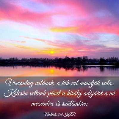Picture 03 - Nehémiás 5:4 KAR - Viszontag valának, a kik ezt mondják vala: - Bible Verse Picture