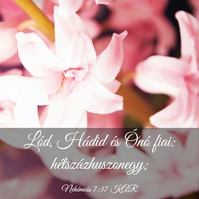 Picture 03 - Nehémiás 7:37 KAR - Lód, Hádid és Ónó fiai: - Bible Verse Picture