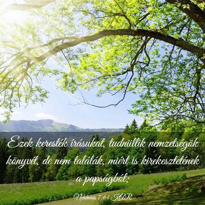 Picture 03 - Nehémiás 7:64 KAR - Ezek keresték írásukat, tudniillik - Bible Verse Picture