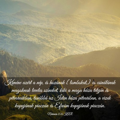 Picture 03 - Nehémiás 8:16 KAR - Kiméne azért a nép, és hozának [lombokat,] - Bible Verse Picture